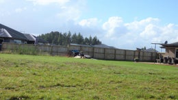 2650980_1.jpg