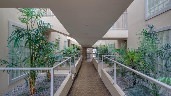 2650986_3.jpg