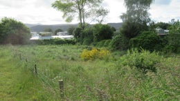 2651290_1.jpg