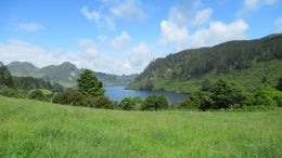 2651324_1.jpg