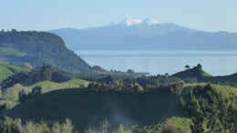 2651411_1.jpg
