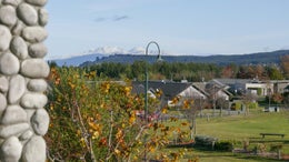 2651623_1.jpg