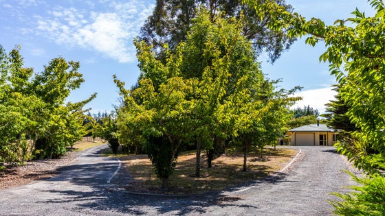 2651794_2.jpg