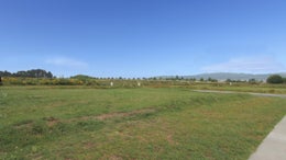 2651923_1.jpg