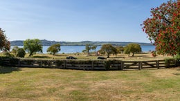 2651942_1.jpg