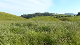 2653532_1.jpg