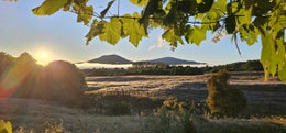 2701424_1.jpg