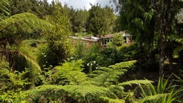2750391_1.jpg