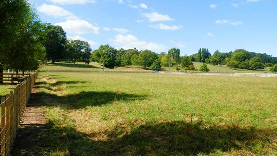 2751020_2.jpg