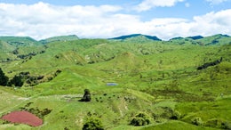 2751128_1.jpg