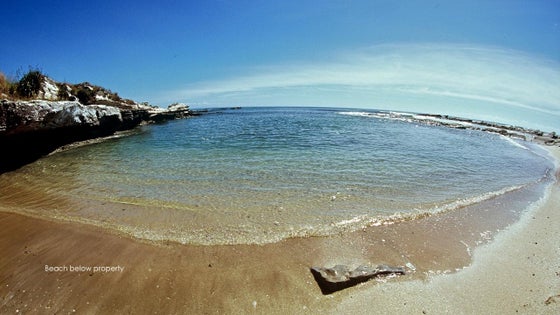 2751139_3.jpg