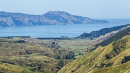 2751249_1.jpg