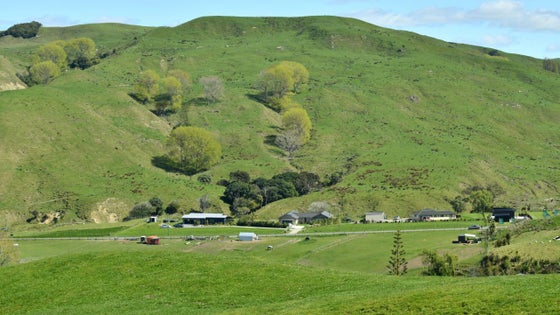 2751516_3.jpg