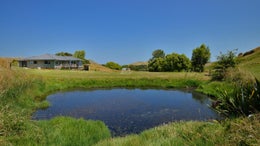 2751615_1.jpg