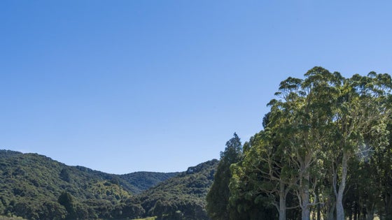 2751854_3.jpg