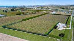 2751909_1.jpg