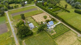 2752010_1.jpg