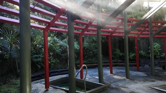 2752010_3.jpg