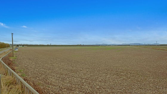 2752116_3.jpg
