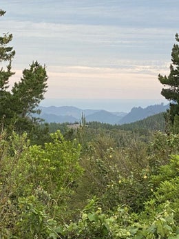 2752814_1.jpg