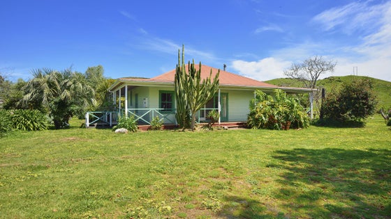 2753039_2.jpg