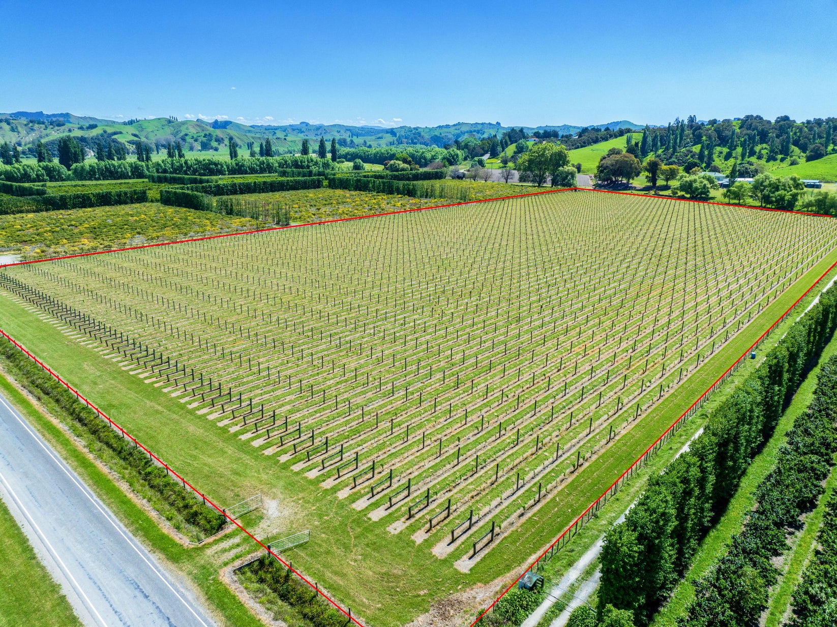 Yosh ayol xodimlar boshliqlarining oyoqlarini yalaydilar