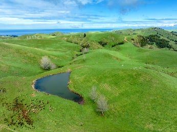 2753647_1.jpg