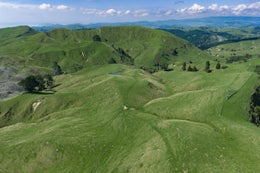 2753969_1.jpg