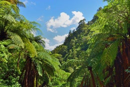 2754156_1.jpg