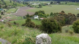2800295_1.jpg