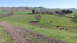 2800452_1.jpg