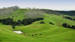 2800513_1.jpg
