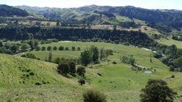2800597_1.jpg