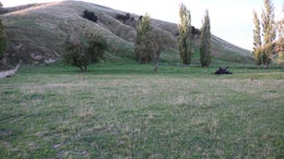 2800847_1.jpg