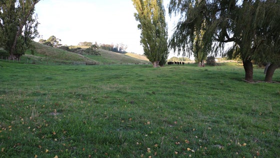 2800847_2.jpg