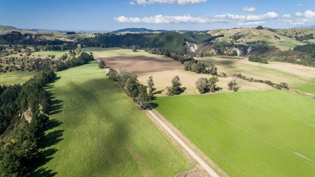 Rural Tender: 1129 River Road, Waiwhare, Hastings | Bayleys