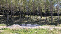 2800935_1.jpg