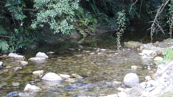 2800935_3.jpg