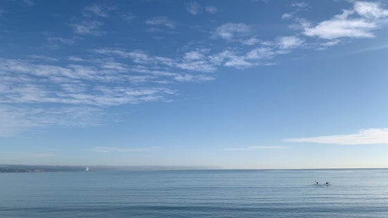 2801734_2.jpg