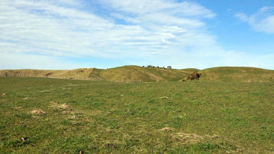 2829664_2.jpg
