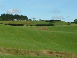 2831488_1.jpg