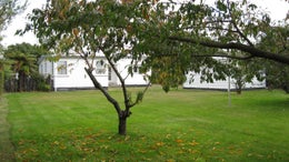 2832154_1.jpg