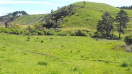 2834200_1.jpg