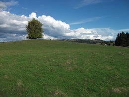 2835503_1.jpg