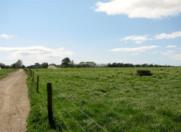 2837218_1.jpg