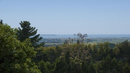 2838635_1.jpg