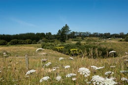 2841571_1.jpg