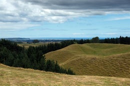 2842025_1.jpg
