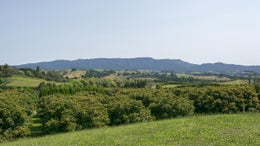 2842126_1.jpg