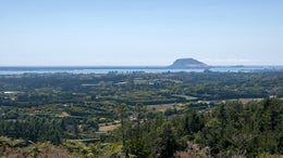 2842130_1.jpg